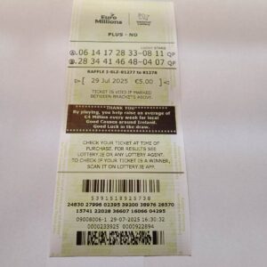 DP2 Euromillions Syndicate by Lucky Syndicates for the 29 July 2025 draw – Coupon 2